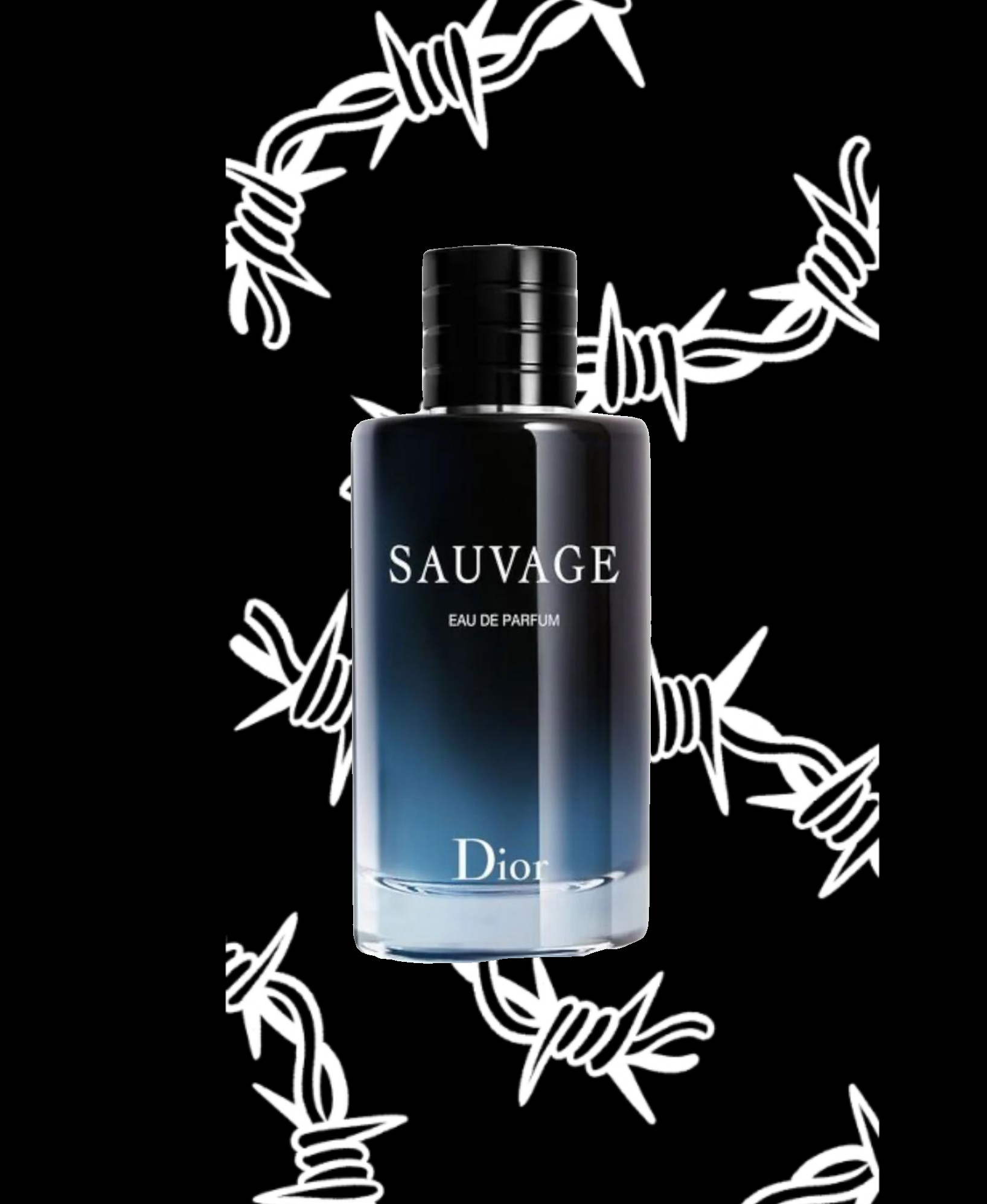 SAUVAGE Dior